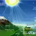 2024 Vilcek Vəqfi Mükafatı qalibləri ilə tanış olun