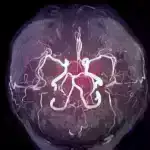 Termit kurqanları daha az enerji sərf edən “yaşayan və nəfəs alan” binalar yaratmağın sirrini açır