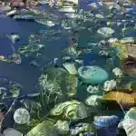 Bərabərsizliyin qaynar nöqtəsi xəritəsi, kənd təsərrüfatında qadınların iqlim böhranından ən çox zərər çəkdiyi yerləri göstərir