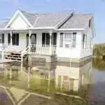 Yeni marketinq daha çox kişini vegan yeməyə inandıra bilərmi?