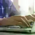 Alimlər ənənəvi mozzarella hazırlamaq üçün vacib olan mikrobları dəqiq müəyyənləşdirirlər