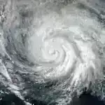 Yaşlı insanların gənclərə nisbətən Covid-19 fırıldaqlarına daha çox meyli varmı?