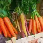 Sülh Kolumbiyada daha çox meşələrin qırılmasına səbəb olub