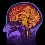 Artıq “Biz İbizaya gedirik” yox? Balear adalarında çimərlik ərazisinin 56-65%-i iqlim böhranı səbəbindən həmişəlik itiriləcək.