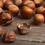 Niyə flaminqo südü çəhrayıdır?