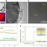 İşığın yayılmasının proqramlaşdırılması yüksək effektiv neyron şəbəkələri yaradır