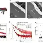 ChatGPT istehsalçısı maliyyələşdirmə danışıqlarında raketləri qiymətləndirir: hesabat