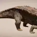 Amorf almaz sintez edilmişdir