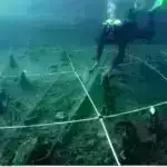 Amazonda kəşf edilən qədim nəhəng delfin