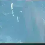 Apple, musiqi axını məhdudiyyətlərinə görə AB-ni 1,8 milyard avro cərimələdi