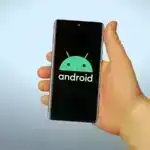 Rapa Nuidəki obsidian bıçaqlarındakı bitki materialı oradakı məskunlaşanların Cənubi Amerikaya getdiyini və geri qayıtdığını göstərir.