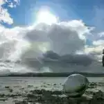 Alüminium istehsalı tullantılarından dəmirin çıxarılması üsulu