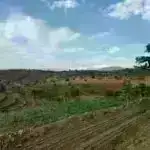 Tədqiqat sunamidən qorunmaq və fövqəladə elektrik enerjisi istehsalı üçün öz-özünə işləyən daşınan dəniz divarı təklif edir