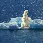 “Yaşıl dünya naminə həmrəylik ili” çərçivəsində QARABAĞIN DİRÇƏLİŞİ – EKOLAYİHƏLƏR