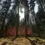 Qayalı planetlər ilk kainatda yarana bilərdi.