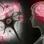 Ağaclar Aşanda Merkuri yüksəlir: Ətraf Mühitin Gizli Təhlükəsini Açmaq