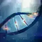 Elektron Ritmlər Kvant Mexanikasının Ürək döyüntülərini ifşa edir