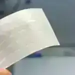 Bu fil bananların qabığını soyur, ancaq bir az yetişmiş olanları