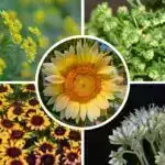 VR-nin gələcəyini açmaq: Yeni alqoritm iPhone-ları holoqrafik proyektorlara çevirir