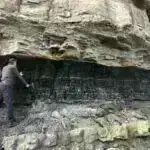 Nanoölçülü 3D Xəritəçəkmə Beyin Strukturuna İnqilabi İnsafları Açıqlayır