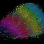 NASA-nın Roman Koronaqrafı Kainata Baxışımızı Necə Dəyişdirə bilər