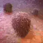 Generativ süni intellekt kvant kompüter proqramlaşdırmasında inqilab edir