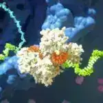 Elm sadələşdirildi: Plazma nədir?