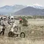 Yeni Tədqiqat Vegan Pəhrizinin İtlər üçün Faydalarını İnkar edir