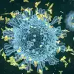 Tədqiqatçılar dalğalardan daha çox “mavi enerji” toplamaq üçün sadə üsul hazırlayırlar