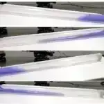 Xroniki Viral İnfeksiyaların Əvvəllər Naməlum Rogue İmmun Açarı Aşkar edildi