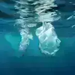 Tədqiqatçılar dalğalardan daha çox “mavi enerji” toplamaq üçün sadə üsul hazırlayırlar