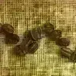 Qalaktika Möcüzələri: Hubble Supernova Fabrikini Tədqiq edir