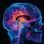 İqtisadi həyəcan: Təbiətin itkisi təxmin ediləndən daha böyük qiymət etiketi daşıyır