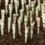 Metan aşkarlanmasında inqilab: Alimlər 500 qat həssaslıq artımına nail oldular