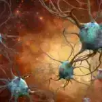 İnsanın mənşəyini yenidən müəyyənləşdirmək: Yeni araşdırma Fars yaylasının insan miqrasiyası tapmacasının açarı olduğunu ortaya qoyur