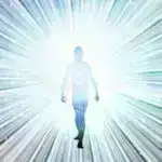 Elm adamları beynin qan damarlarının fərqli, tamamilə görünməmiş qaydalara tabe olduğunu kəşf etdilər