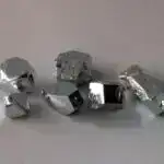 Amfibiya Apokalipsisi: Sağ qalma döyüşündə virusa qarşı göbələk