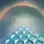 SOX9 keçidi məməlilərin böyrəklərində tək hüceyrə səviyyəsində regenerasiyanı fibrozla əlaqələndirir