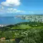 Təbiətin səssiz pıçıltılarını açır: Alimlər çiçəklərin gizli dilini açır