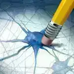 Kölgələrdə inkişaf: Mürəkkəb həyatın oksigensiz mənşəyi