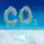 Ədli sıçrayış: Mikrobiologiya ilə ölüm vaxtının proqnozlaşdırılması