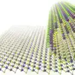 Qədim Beyin Bölgəsinin Əvvəllər Düşündüyündən Daha Əhəmiyyətli Olduğu Kəşf Edildi