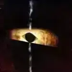 Güvələrin Gizli Feromon Afrodiziakının açılması