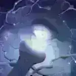 Bağırsaq Bakteriyalarının Gizli Gücləri: Oksigensiz Dünyada İnkişaf