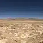 Qrip virusu beynə necə sızır və bununla bağlı nə edə bilərik