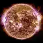 İnfeksiya ilə mübarizədən kənar: Qan Kök Hüceyrələrinin Yaradılmasında İmmunitet Sisteminin Sürpriz Rolu