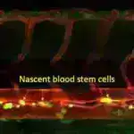 Molekul istehsalının yenidən müəyyən edilməsi: TiO2 daha yaşıl sintez üçün yol açır