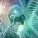 Yeni İnertial Fusion Enerji Tədqiqat Mərkəzinə rəhbərlik edəcək Lazer Energetikası Laboratoriyası