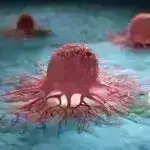 “Narahatlıq” – İngiltərənin İtkin Ağciyər Testlərinin Səssiz Skandalı