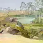 Superior gölünün müəmmalı kükürd dövrü: Yerin keçmişinə bir pəncərə